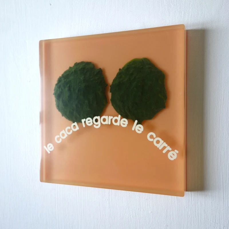 Un tableau carré en verre peint en rouge rosé sur l'envers. La peinture est grattée pour écrire : . Vue de face.