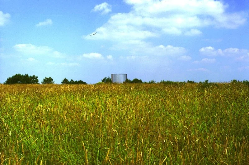 Un paysage de paririe l'été avec la sculpture au loin.