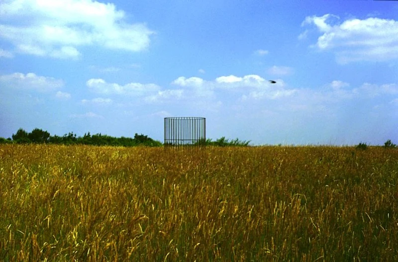 Un paysage de paririe l'été. On se rapproche doucement.
