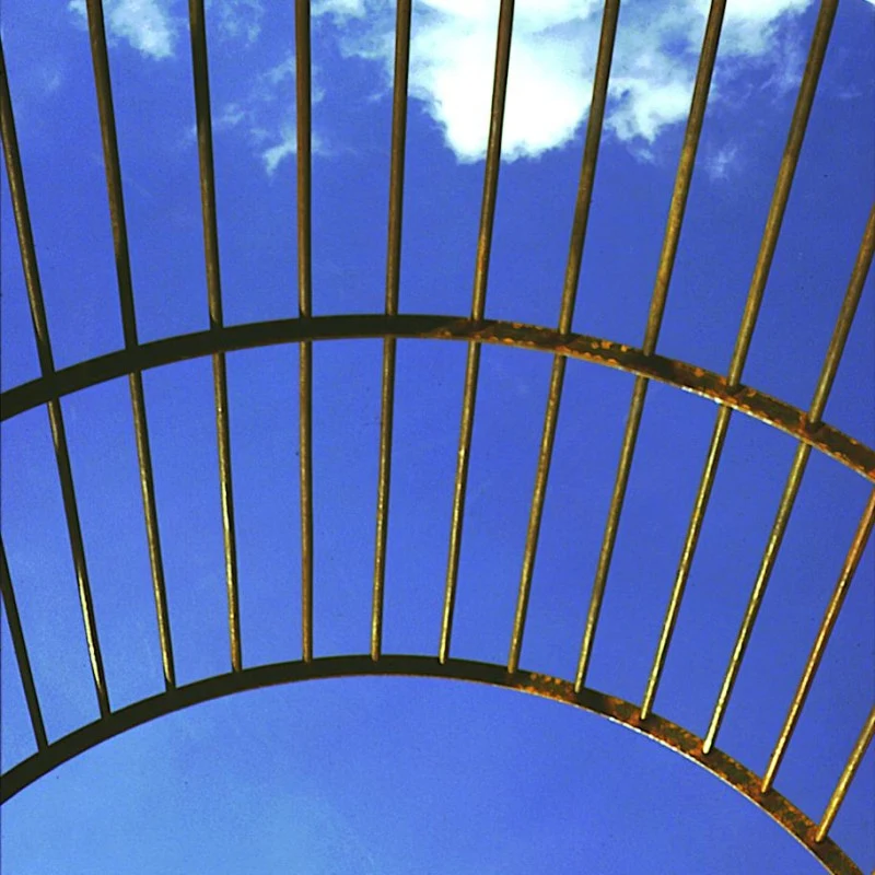 On ne voit plus que le ciel refleté et les barreaux de la cage.